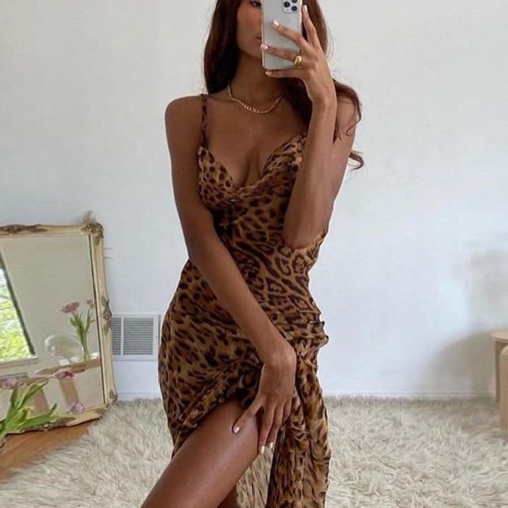 Leopard Print Sheer Maxi Dress - Picture 5 of 13